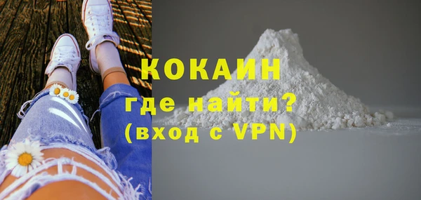 шишки Белокуриха
