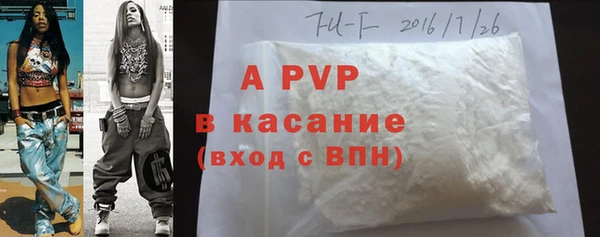 шишки Белокуриха