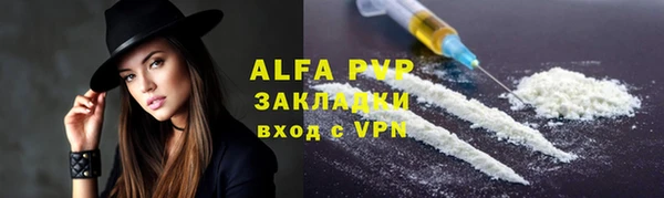 шишки Белокуриха