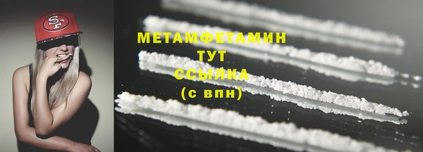 шишки Белокуриха