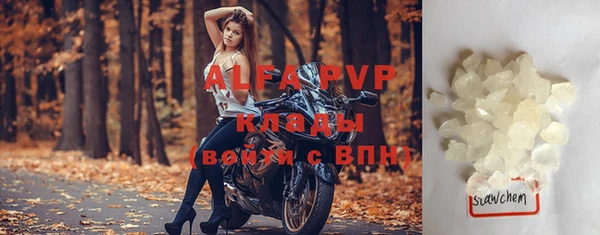 шишки Белокуриха