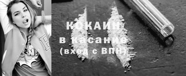 шишки Белокуриха