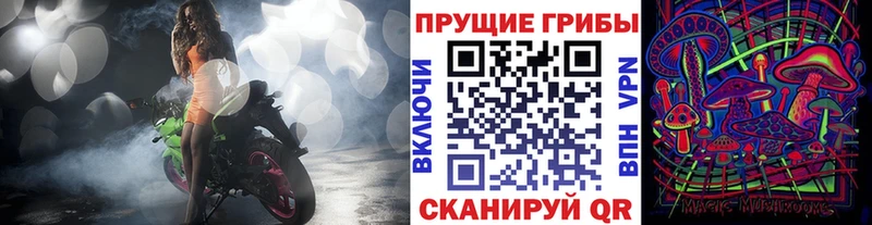 Купить закладки  Ермолино  Псилоцибиновые грибы GOLDEN TEACHER 